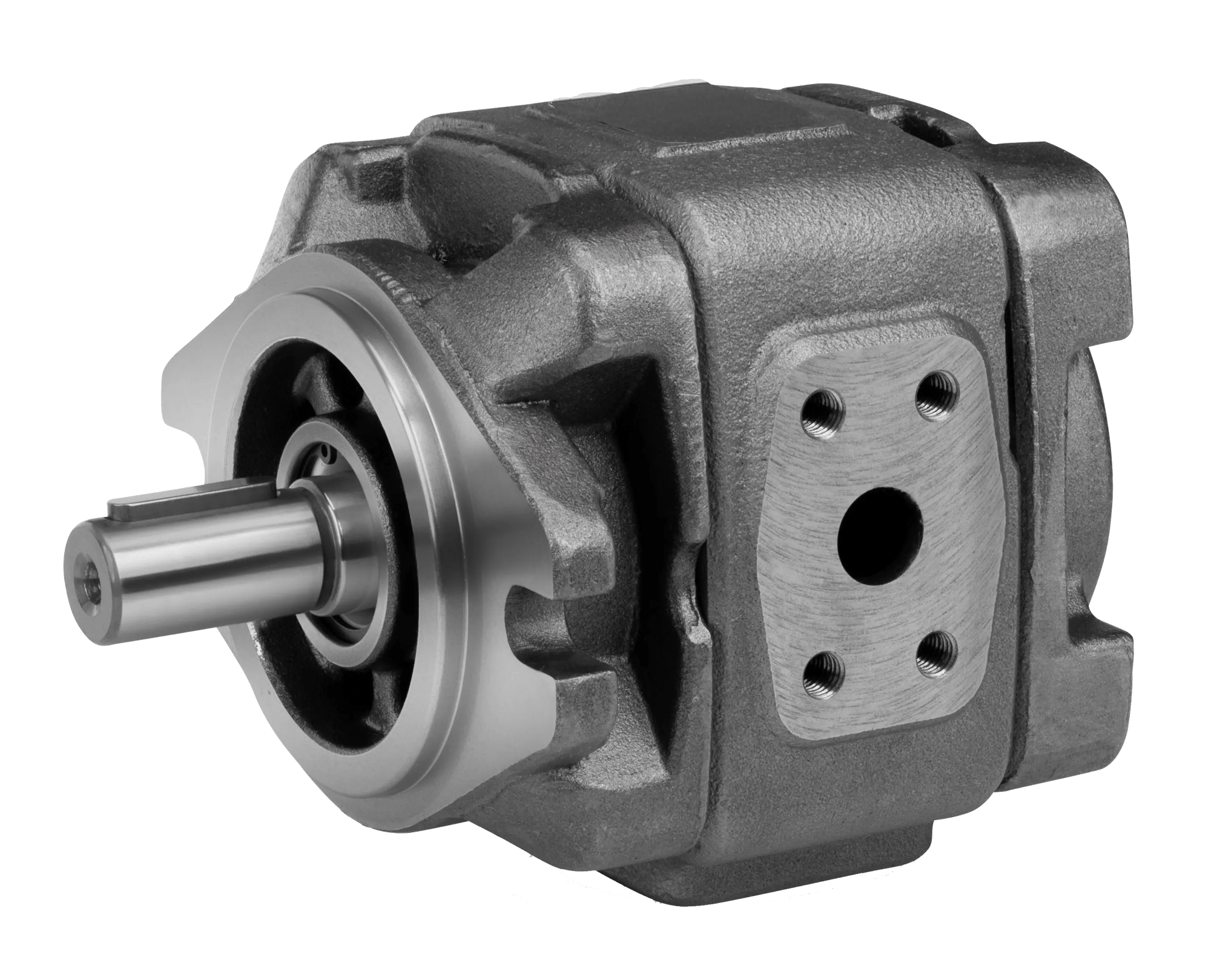 Internal gear pump Hydraut HIGP