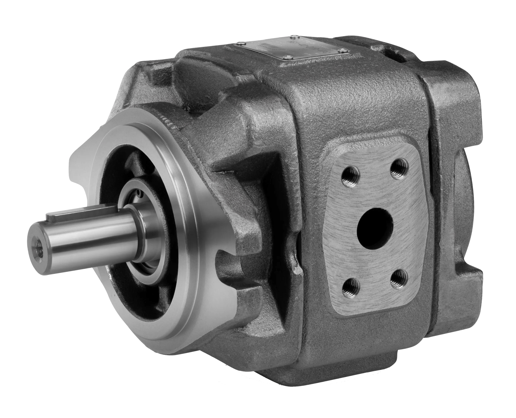 HG1 internal gear pump