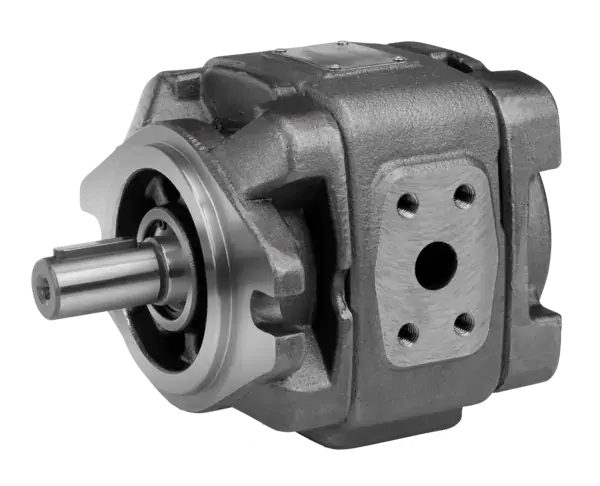HG1 internal gear pump